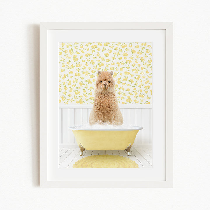 A fluffy brown dog sitting in a yellow bathtub filled with bubbles, surrounded by a yellow floral wallpaper.