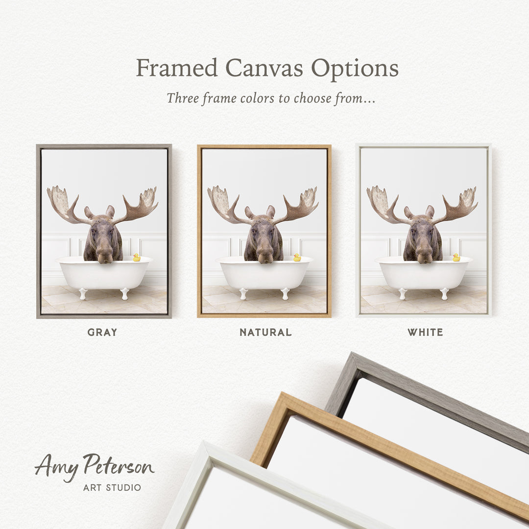 three framed canvas options featuring a moose in a bathtub, with each option having a different frame color: gray, natural, and white.