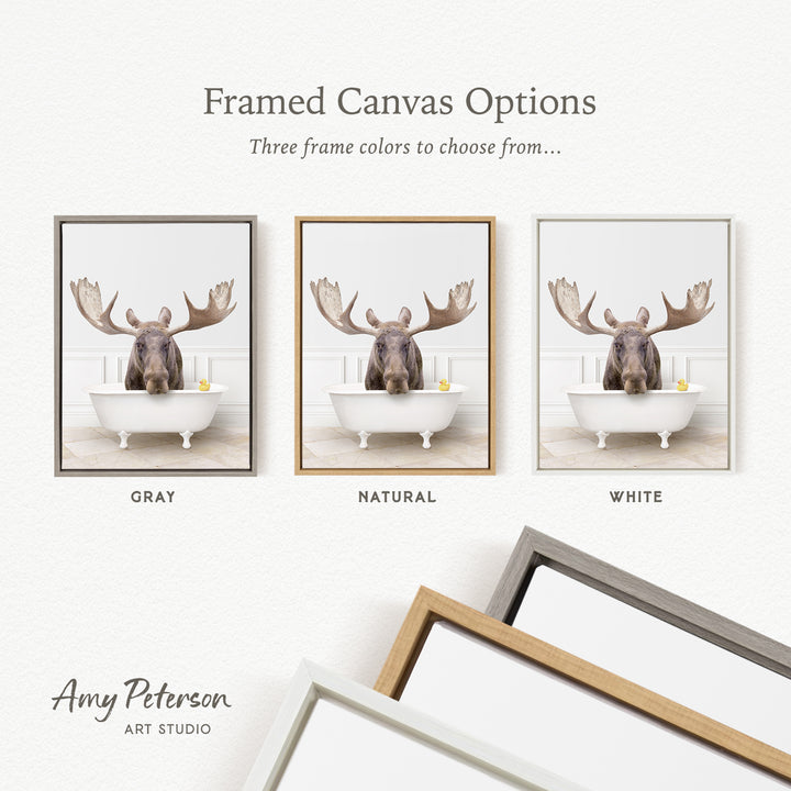 three framed canvas options featuring a moose in a bathtub, with each option having a different frame color: gray, natural, and white.