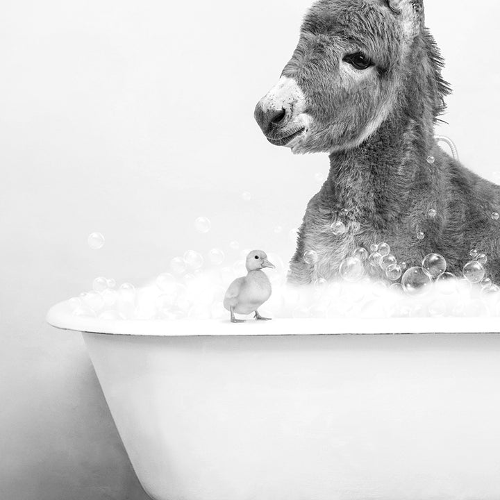 a donkey and a duck are in a bathtub