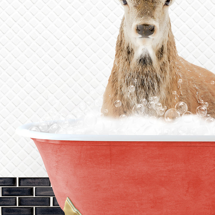 a deer is sitting in a bathtub with bubbles