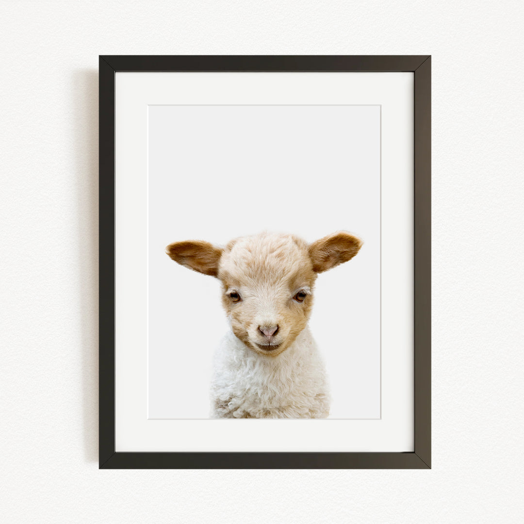 A framed image of a cute lamb with a friendly expression.