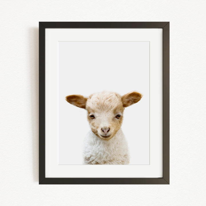 A framed image of a cute lamb with a friendly expression.