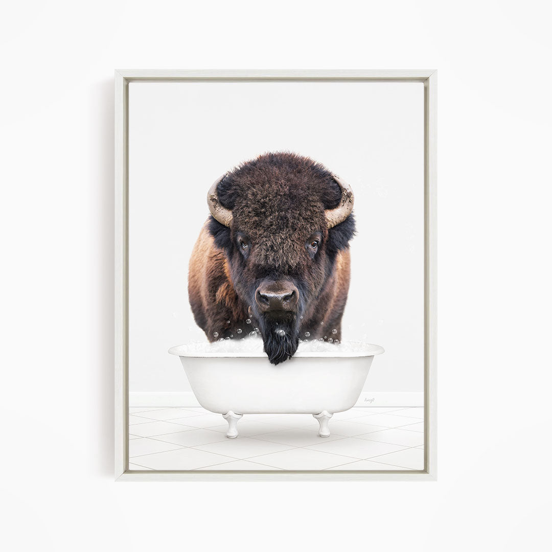 A bison with a black beard is standing in a white bathtub, looking directly at the camera.