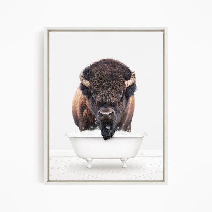 A bison with a black beard is standing in a white bathtub, looking directly at the camera.