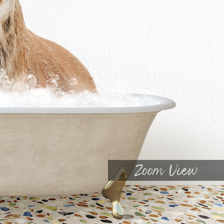A cat sitting in a bathtub filled with bubbles, with a text overlay that reads "Zoom View".