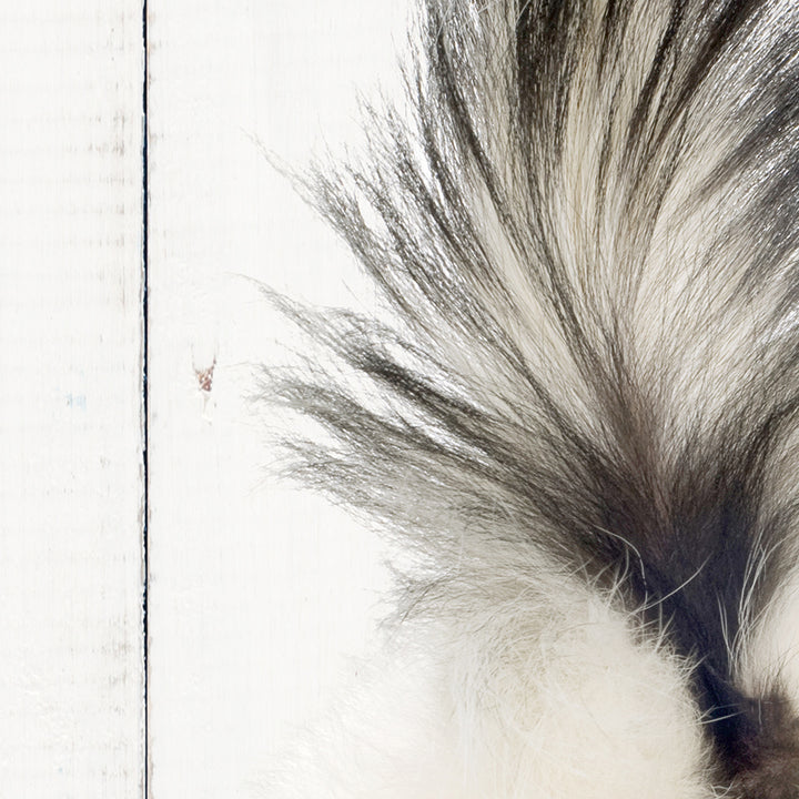 a close up of a furry animal on a white surface