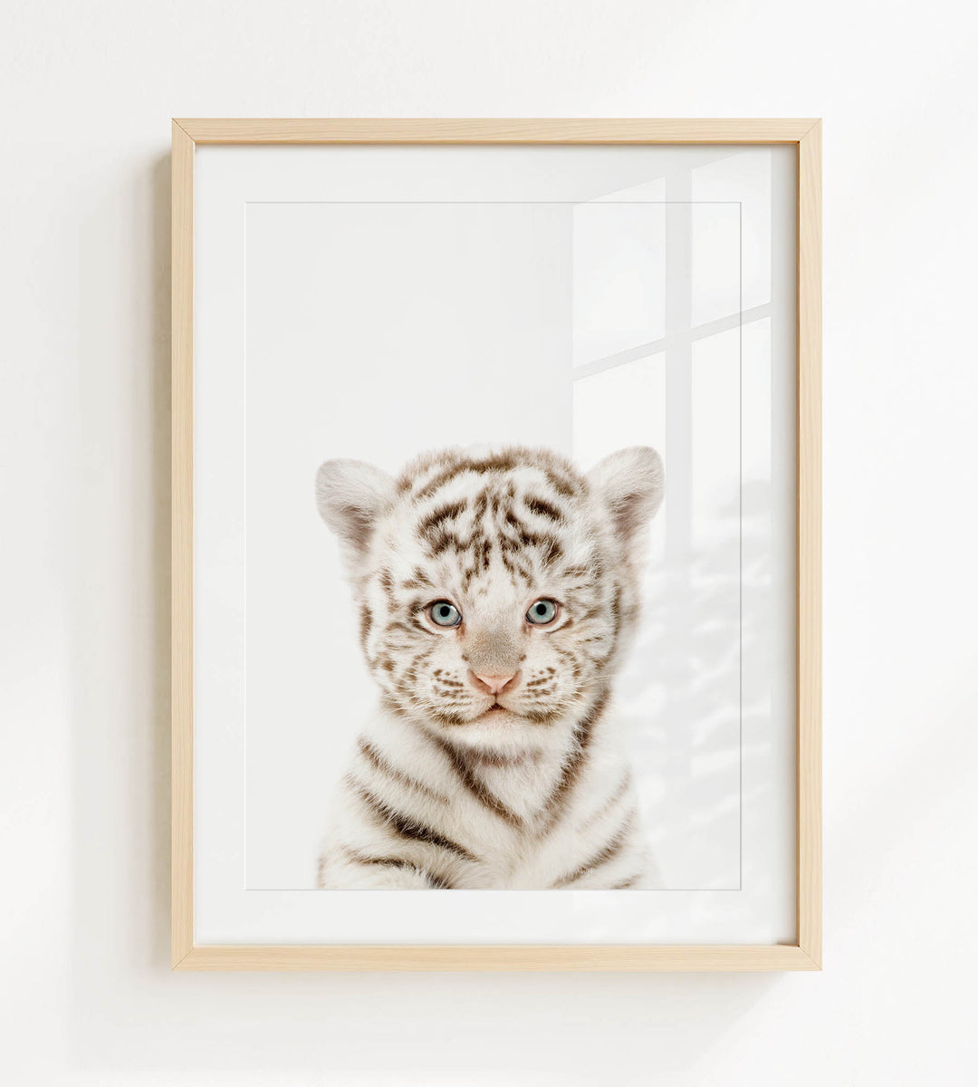 A framed photograph of a young tiger cub with striking blue eyes and a white and black striped coat.