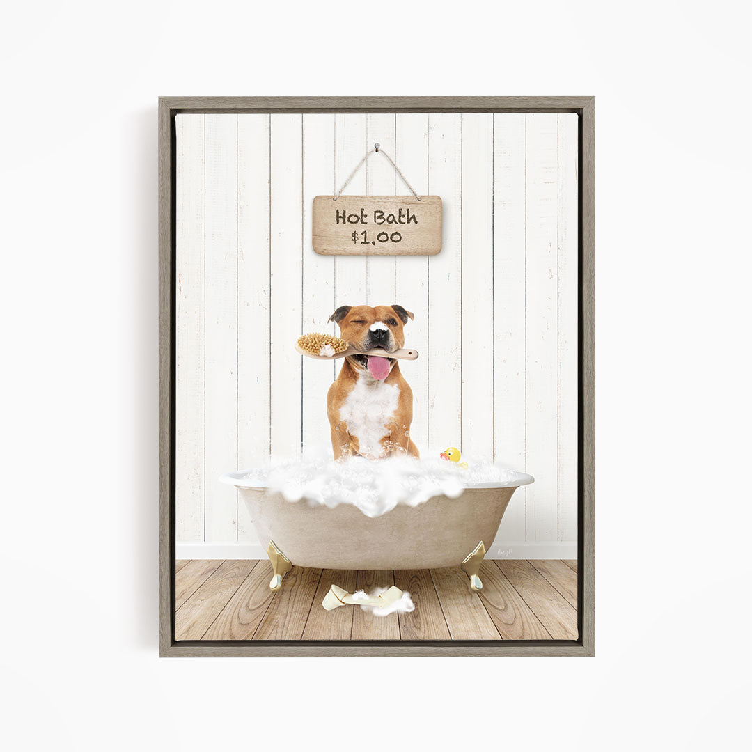 A brown and white dog sitting in a white bathtub, holding a yellow rubber duck and surrounded by bubbles, with a sign indicating a hot bath for $1.00.