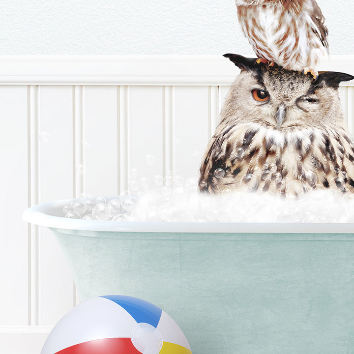 an owl sitting on top of a bath tub