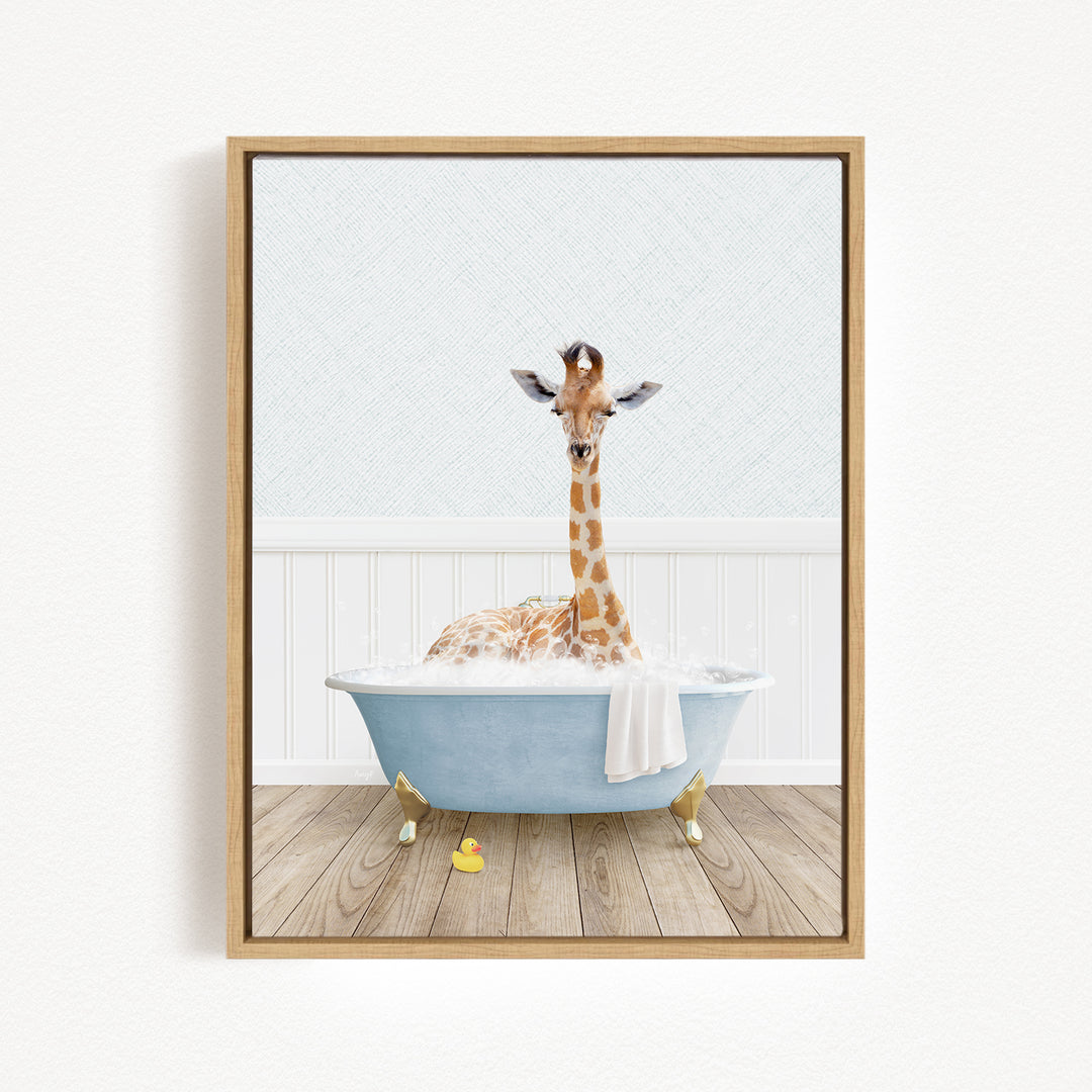 A giraffe is sitting in a blue bathtub filled with water, surrounded by a white wall and wooden floor.