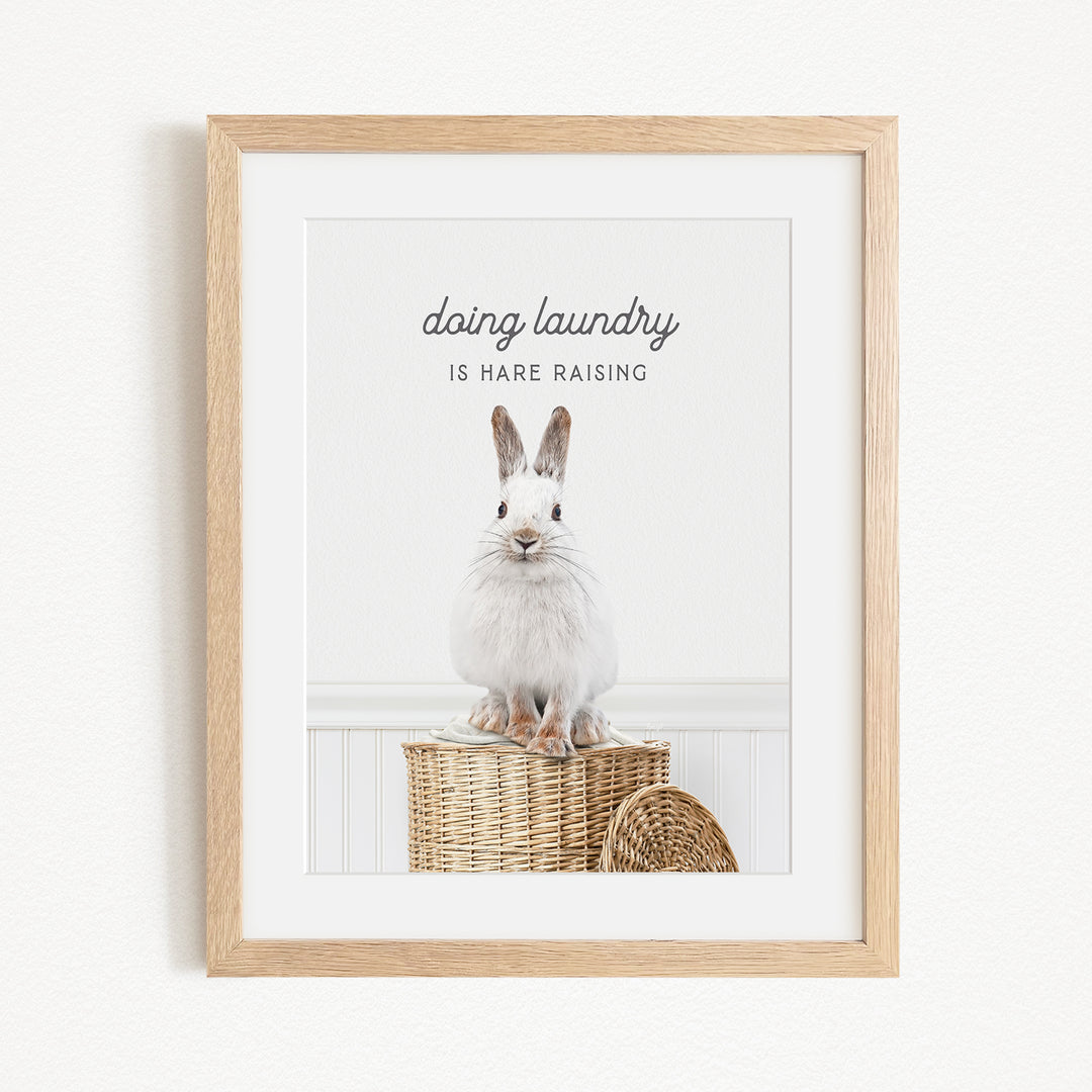 A framed image of a white rabbit sitting on a woven basket, with the text "Doing laundry is Hare raising" displayed above the rabbit.
