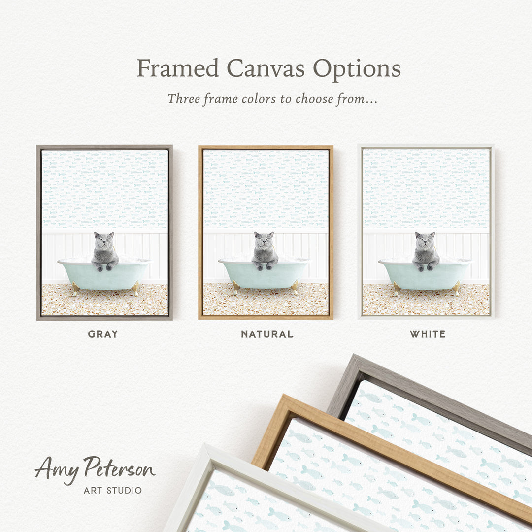 three framed canvas options, each featuring a cat sitting in a bathtub. The options include a gray bathtub, a natural bathtub, and a white bathtub. The text above the images reads " Framed Canvas Options" and "Three frame colors to choose from...". The bottom of the image includes the text " Amy Peterson ART STUDIO".