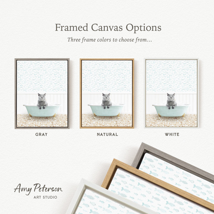 three framed canvas options, each featuring a cat sitting in a bathtub. The options include a gray bathtub, a natural bathtub, and a white bathtub. The text above the images reads " Framed Canvas Options" and "Three frame colors to choose from...". The bottom of the image includes the text " Amy Peterson ART STUDIO".