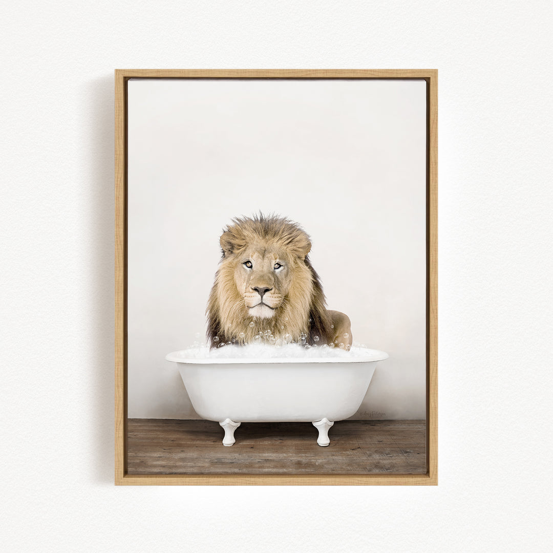 A lion sitting in a white bathtub filled with water, looking directly at the camera.