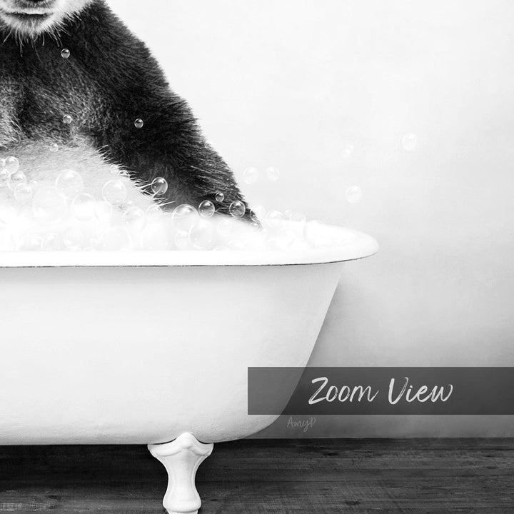 A black and white image showing a cat sitting in a bathtub filled with bubbles, with the text "Zoom View" overlaid on the image.