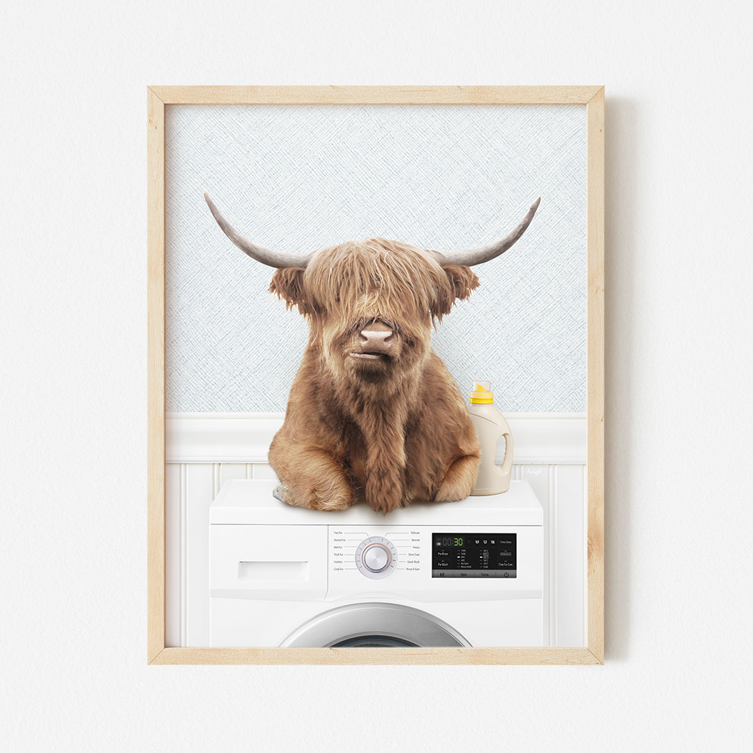 a picture of a bull sitting on top of a washing machine