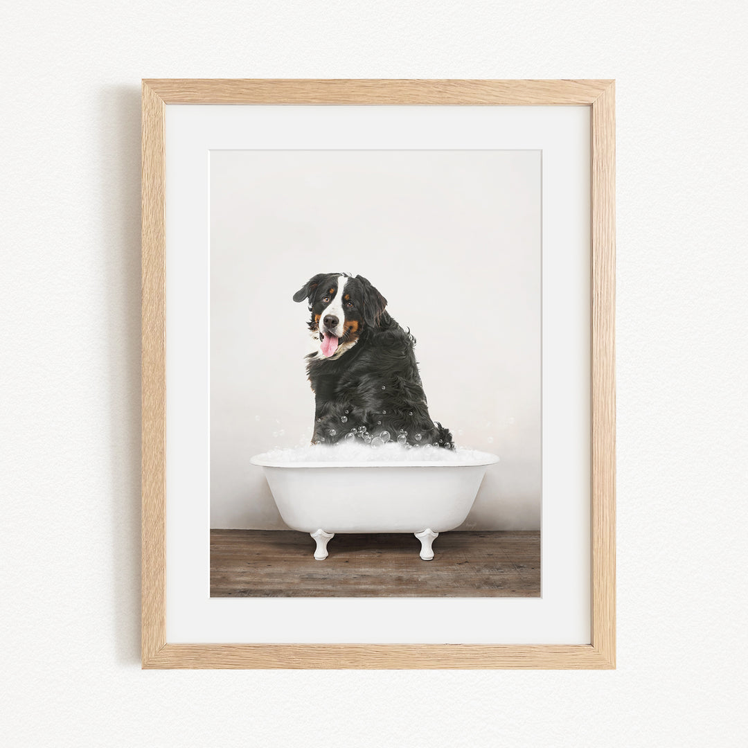 A black and white dog sitting in a white bathtub filled with bubbles, with its tongue hanging out, creating a playful and adorable scene.