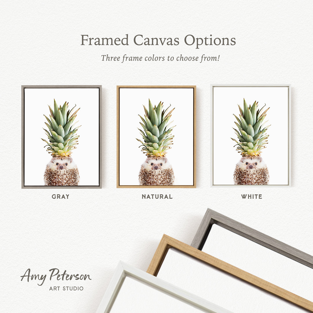 three framed canvas options for a pineapple plant, each with a different frame color: gray, natural, and white.