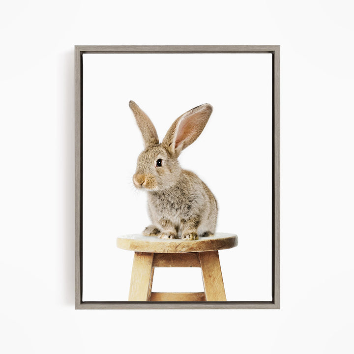 A cute, fluffy rabbit sits on a wooden stool, its ears perked up and alert.