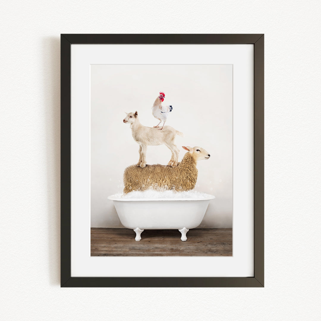 A framed image depicting a goat standing on top of a sheep in a bathtub, with a rooster perched on the sheep's back.
