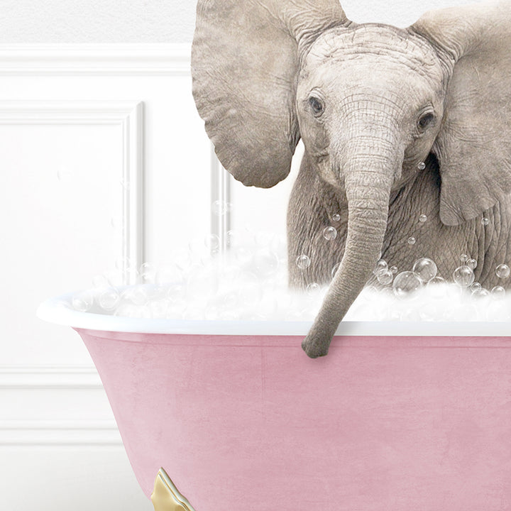 a baby elephant in a bathtub with bubbles