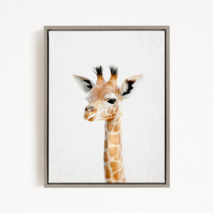 A framed photograph of a giraffe's head, with its distinctive brown and white spotted coat and small horns, is displayed on a white wall.