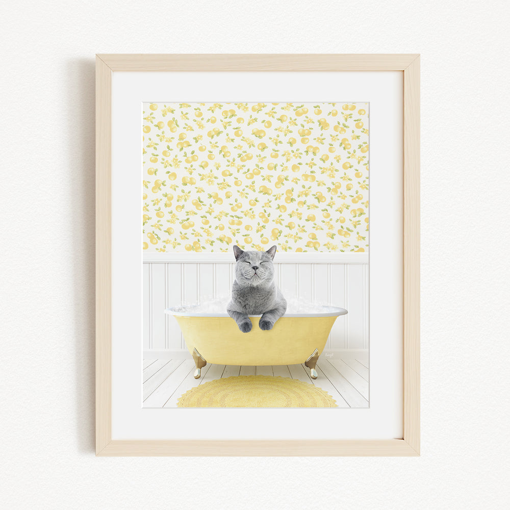 A gray cat sitting in a yellow bathtub, with a yellow floral wallpaper in the background.