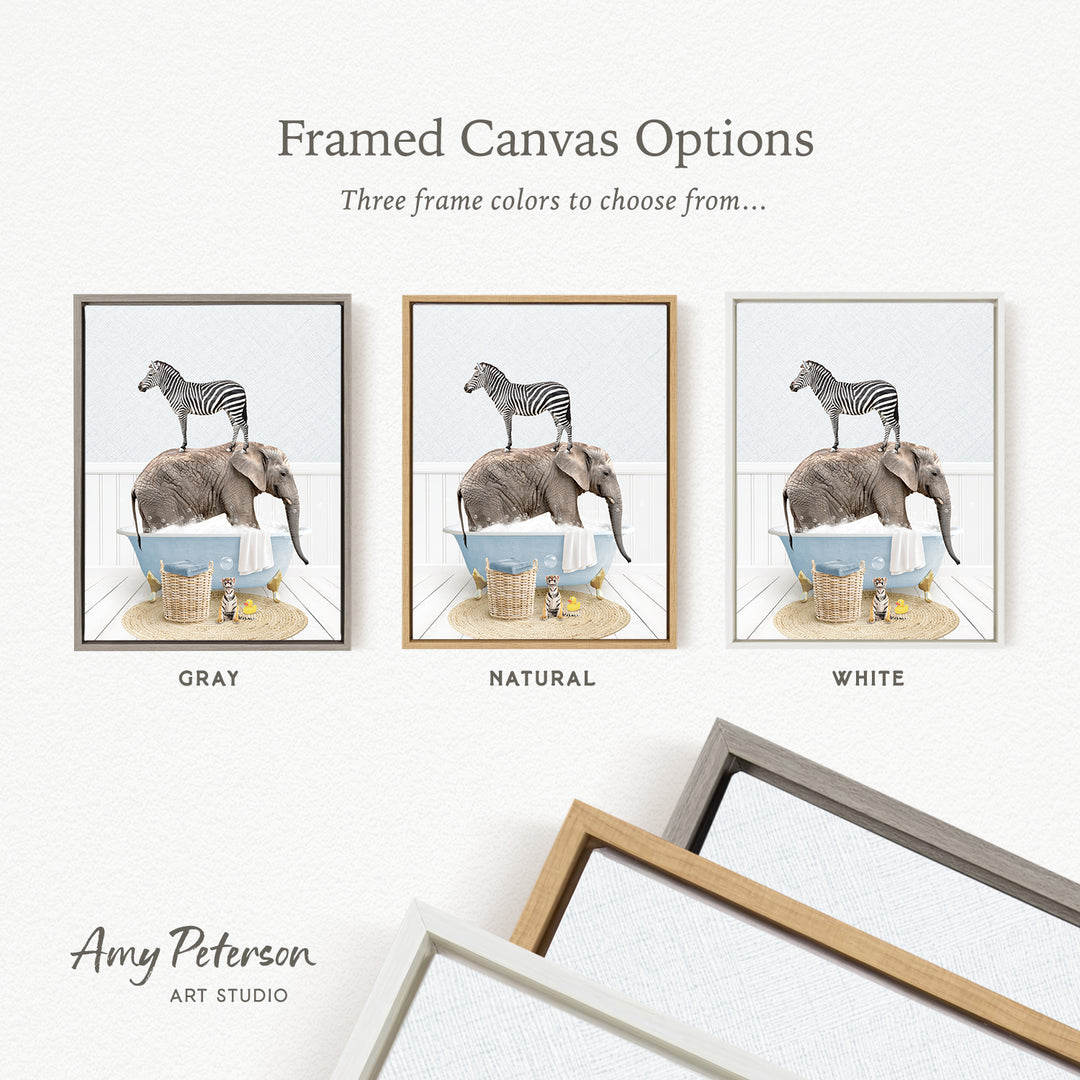 three framed canvas options, each featuring a different color: gray, natural, and white. The text above the images reads " framed Canvas Options" and "Three frame colors to choose from...". The artist's name, Amy Peterson, is also mentioned at the bottom of the image.