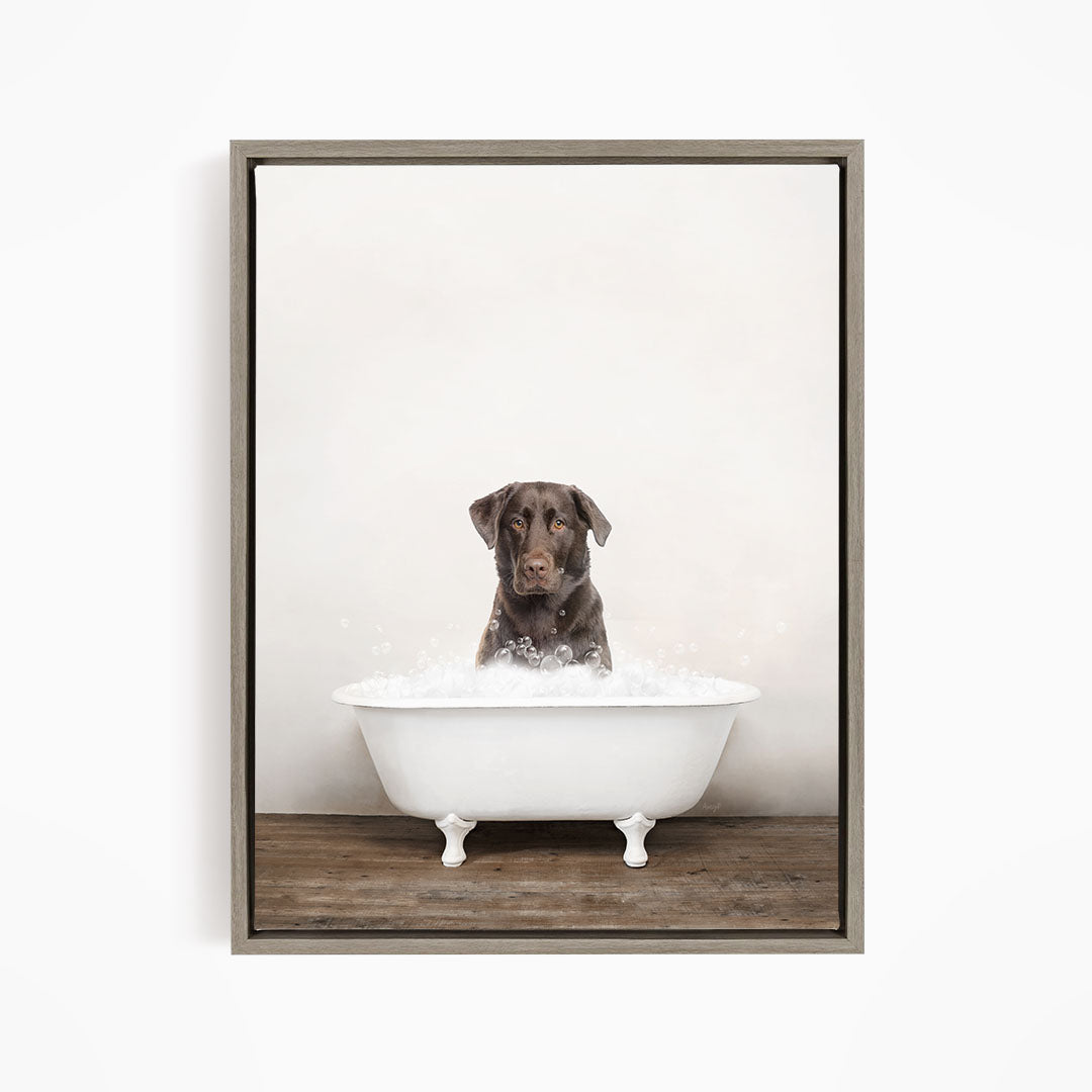 A brown dog sitting in a white bathtub filled with water, looking directly at the camera.