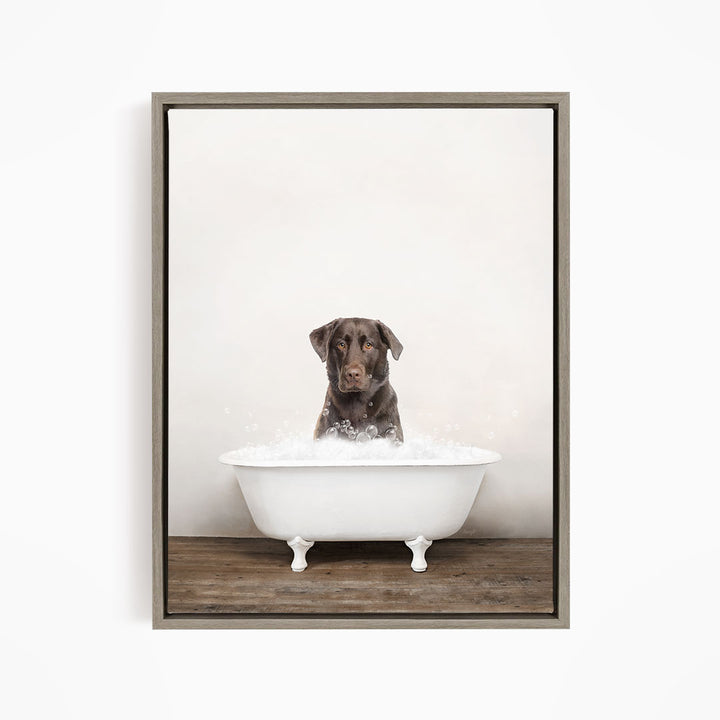 A brown dog sitting in a white bathtub filled with water, looking directly at the camera.