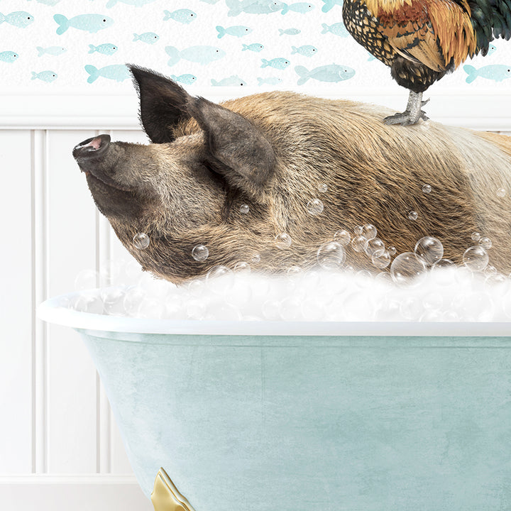 a pig in a bathtub with a chicken on top of it