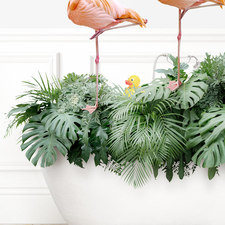 two pink flamingos standing on top of a plant