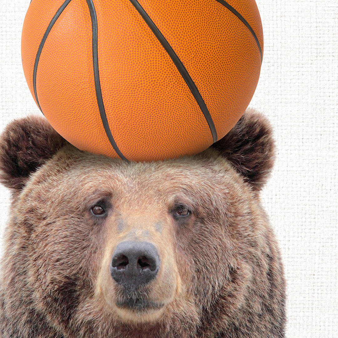 a bear with a basketball on its head