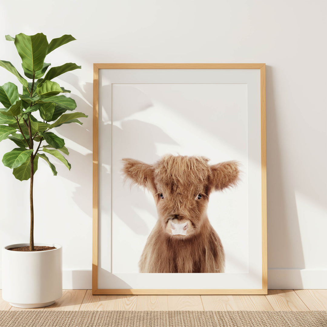 a framed photograph of a brown cow with shaggy fur, placed on a wooden floor next to a potted plant.