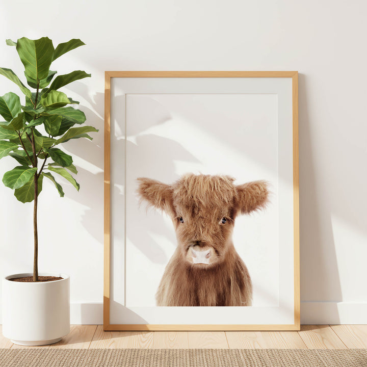 a framed photograph of a brown cow with shaggy fur, placed on a wooden floor next to a potted plant.