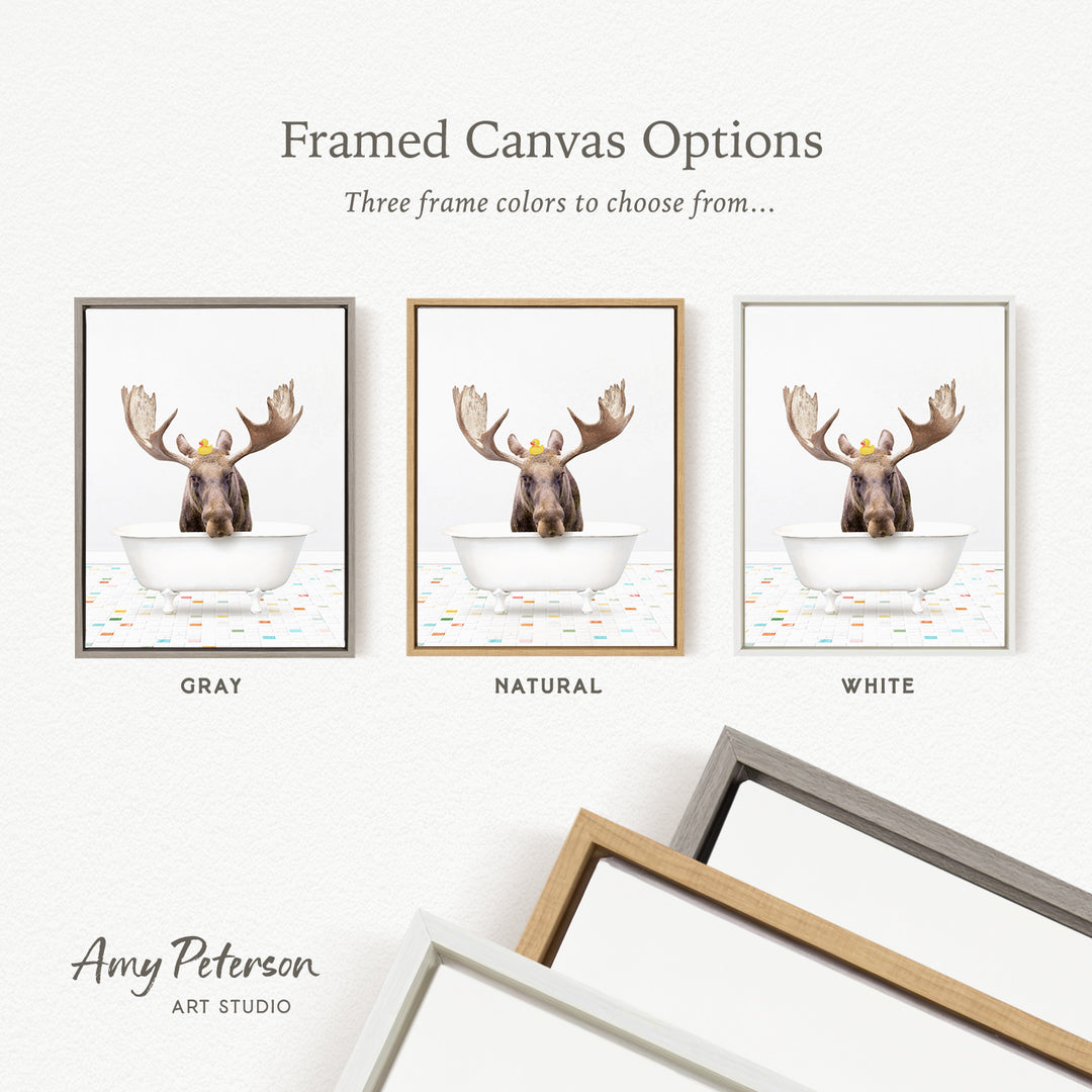 three framed canvas options featuring a moose in a bathtub, with each option having a different frame color.