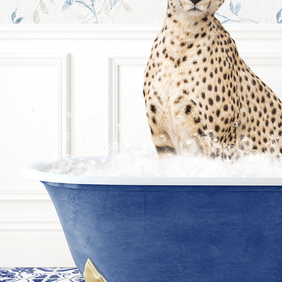 a cheetah sitting in a blue bath tub