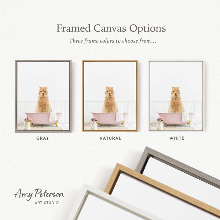 three framed canvas options, each with a different color: gray, natural, and white. The text above the images reads " Framed Canvas Options" and "Three frame colors to choose from...". The bottom of the image features the text " Amy Peterson ART STUDIO".