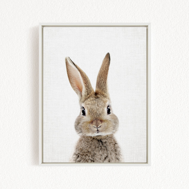 A cute, fluffy rabbit with large ears and a curious expression is the focus of the image.