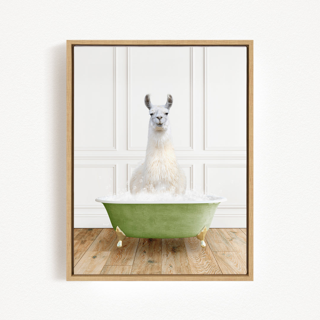 A white llama sitting in a green bathtub filled with water, creating a whimsical and playful scene.