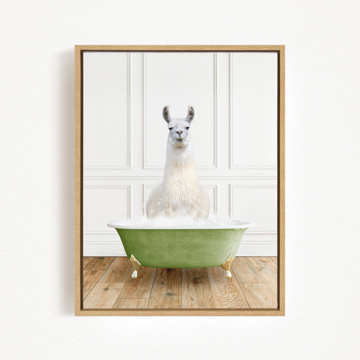 A white llama sitting in a green bathtub filled with water, creating a whimsical and playful scene.