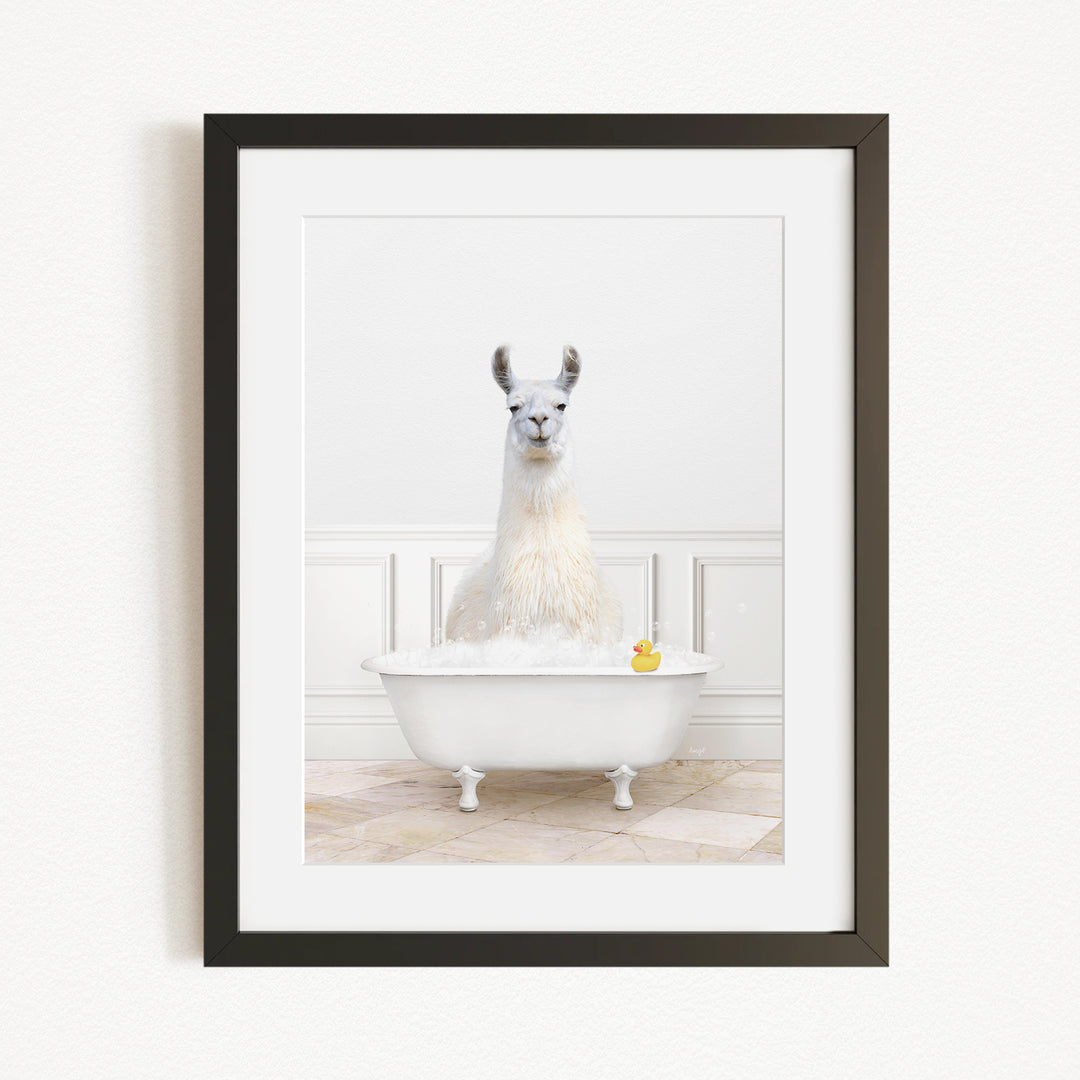 A white llama sitting in a white bathtub filled with bubbles, with a yellow rubber duck floating in the water.