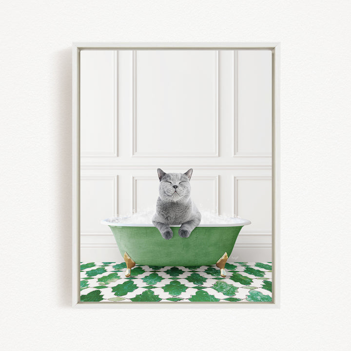A gray cat sitting in a green bathtub filled with bubbles, with a patterned green and white rug on the floor.
