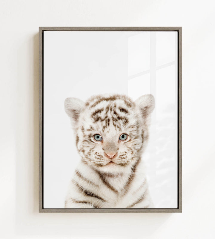 A young tiger cub with striking blue eyes and a playful expression is the focal point of the framed image.