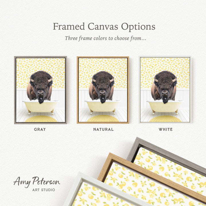 The image is a framed canvas option showcasing three different framed canvas options, each featuring a buffalo in a bathtub. The options include a gray frame, a natural frame, and a white frame.