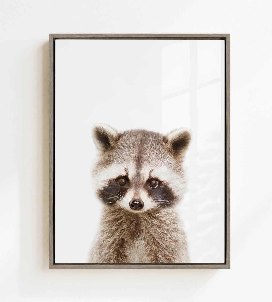 A raccoon with large eyes and a curious expression is the focus of the framed image.