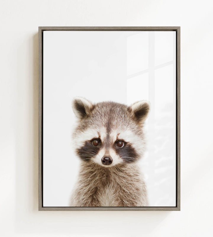 A raccoon with large eyes and a curious expression is the focus of the framed image.