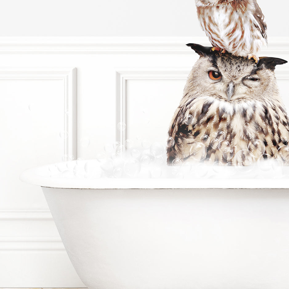 an owl sitting on top of a bath tub