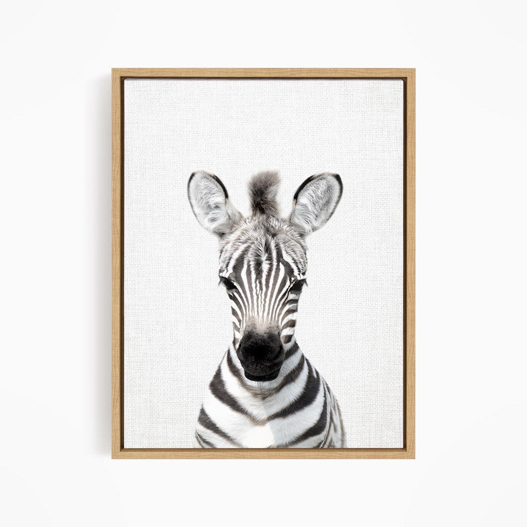 A framed photograph of a zebra's head, with its distinctive black and white striped pattern and large ears, is displayed on a white wall.